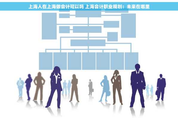 上海人在上海做会计可以吗 上海会计职业规划：未来在哪里