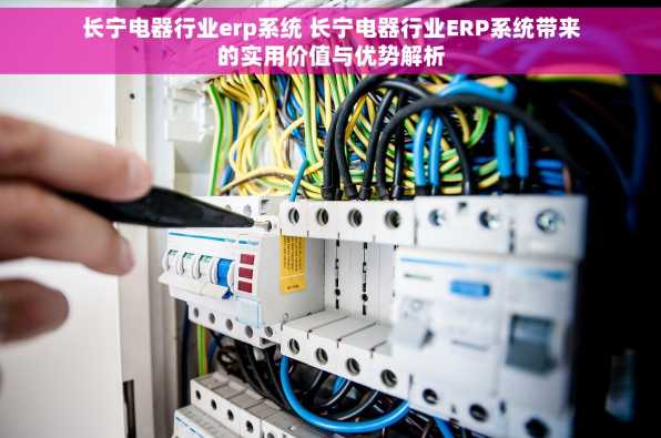 长宁电器行业erp系统 长宁电器行业ERP系统带来的实用价值与优势解析
