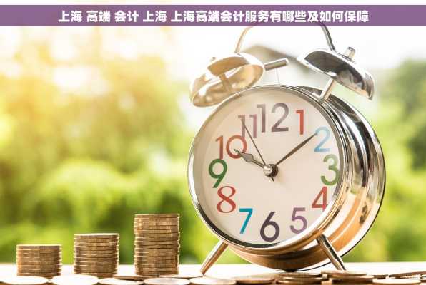 上海 高端 会计 上海 上海高端会计服务有哪些及如何保障