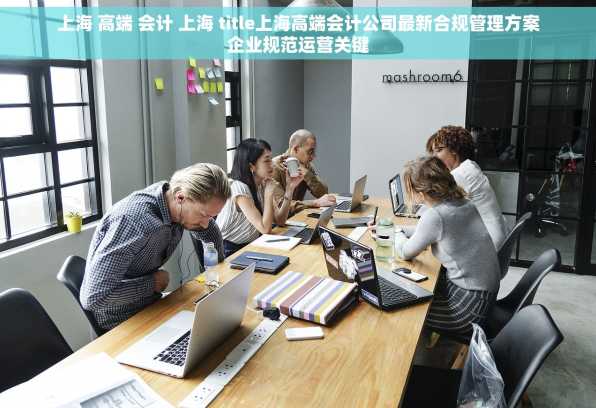 上海 高端 会计 上海 title上海高端会计公司最新合规管理方案企业规范运营关键