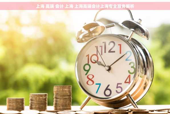 上海 高端 会计 上海 上海高端会计上海专业服务解析