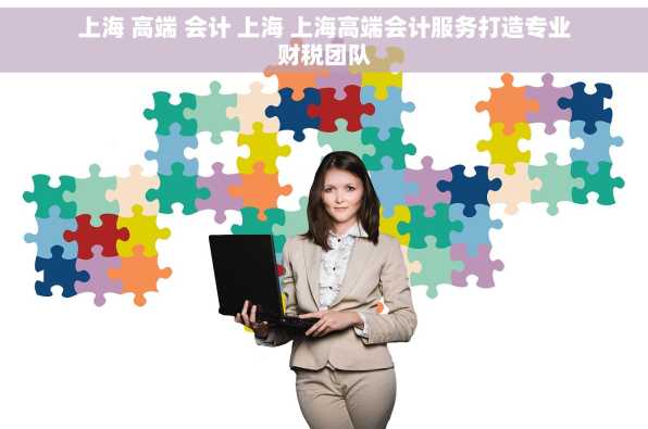 上海 高端 会计 上海 上海高端会计服务打造专业财税团队