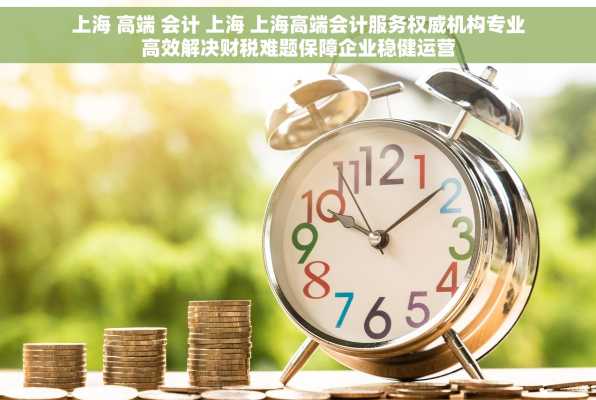 上海 高端 会计 上海 上海高端会计服务权威机构专业高效解决财税难题保障企业稳健运营