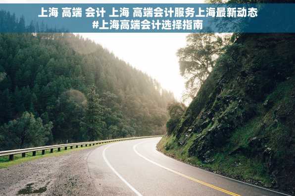 上海 高端 会计 上海 高端会计服务上海最新动态#上海高端会计选择指南