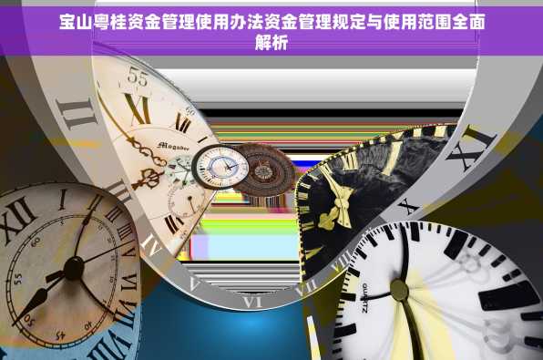 宝山粤桂资金管理使用办法资金管理规定与使用范围全面解析