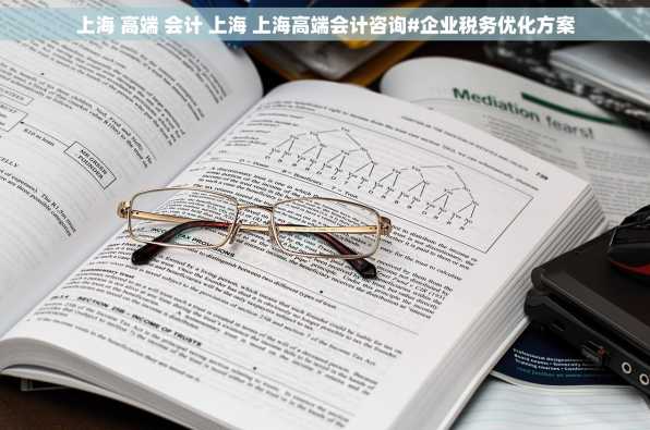 上海 高端 会计 上海 上海高端会计咨询#企业税务优化方案