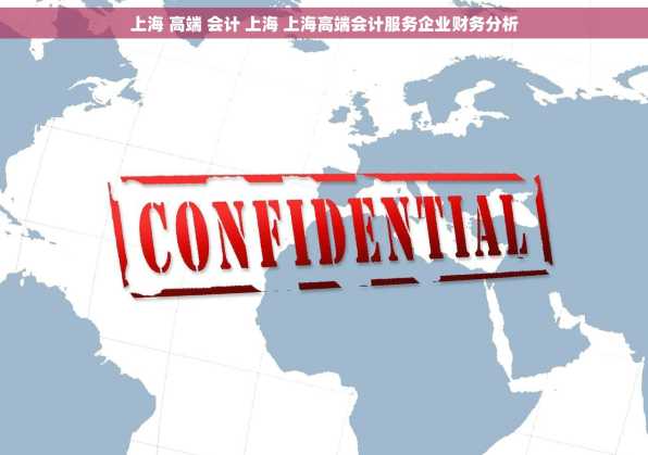 上海 高端 会计 上海 上海高端会计服务企业财务分析