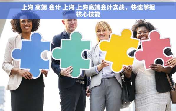 上海 高端 会计 上海 上海高端会计实战，快速掌握核心技能