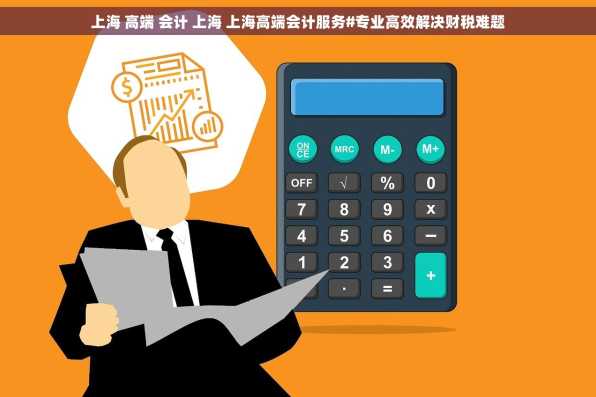 上海 高端 会计 上海 上海高端会计服务#专业高效解决财税难题