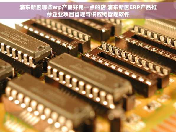 浦东新区哪些erp产品好用一点的店 浦东新区ERP产品推荐企业项目管理与供应链管理软件