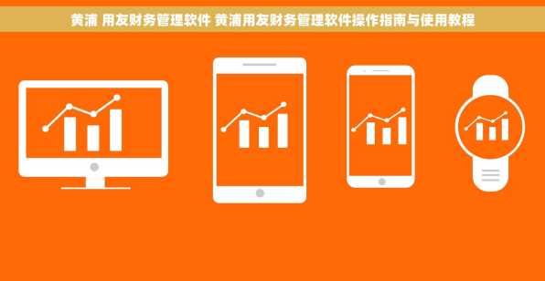 黄浦 用友财务管理软件 黄浦用友财务管理软件操作指南与使用教程