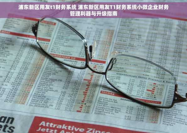 浦东新区用友t1财务系统 浦东新区用友T1财务系统小微企业财务管理利器与升级指南
