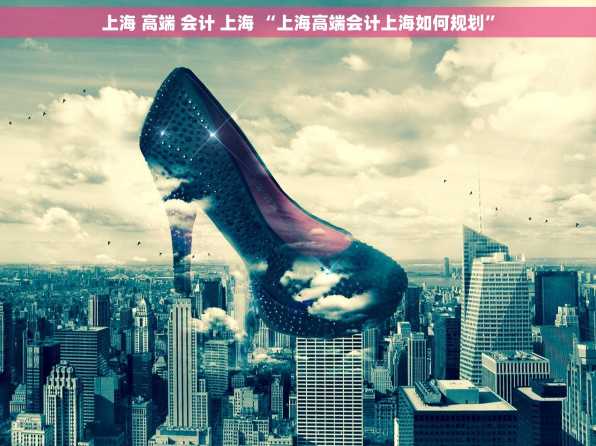 上海 高端 会计 上海 “上海高端会计上海如何规划”