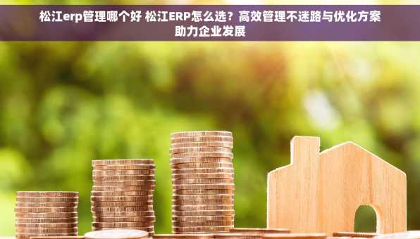 松江erp管理哪个好 松江ERP怎么选？高效管理不迷路与优化方案助力企业发展