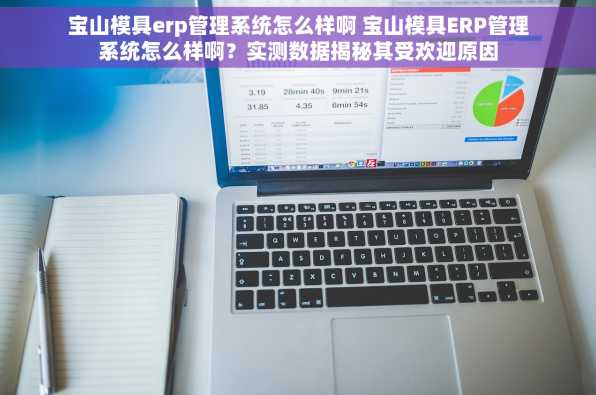 宝山模具erp管理系统怎么样啊 宝山模具ERP管理系统怎么样啊？实测数据揭秘其受欢迎原因