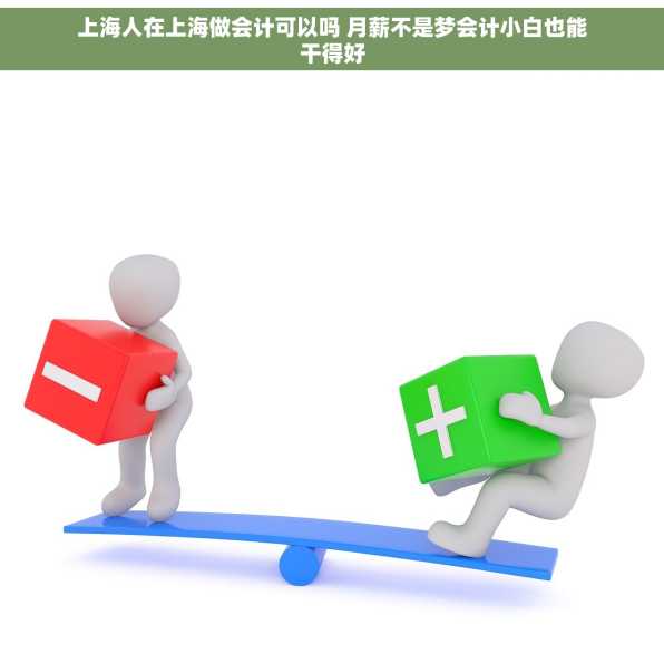 上海人在上海做会计可以吗 月薪不是梦会计小白也能干得好