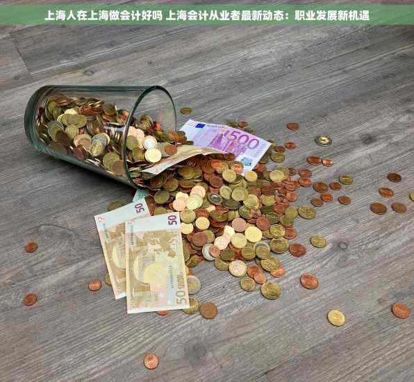 上海人在上海做会计好吗 上海会计从业者最新动态：职业发展新机遇