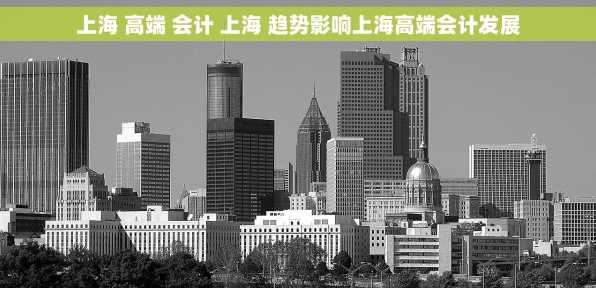 上海 高端 会计 上海 趋势影响上海高端会计发展