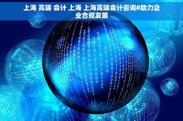 上海 高端 会计 上海 上海高端会计咨询#助力企业合规发展