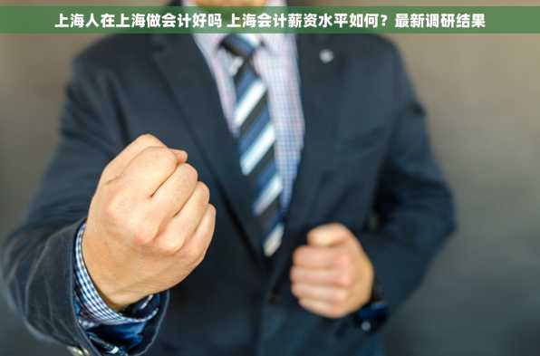 上海人在上海做会计好吗 上海会计薪资水平如何？最新调研结果