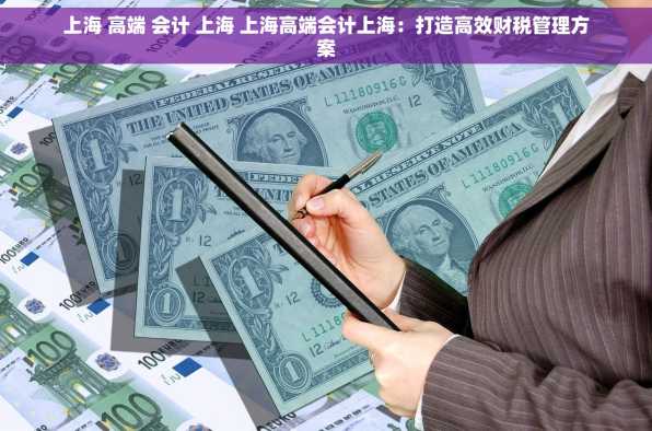 上海 高端 会计 上海 上海高端会计上海：打造高效财税管理方案