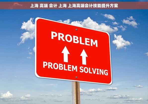 上海 高端 会计 上海 上海高端会计技能提升方案