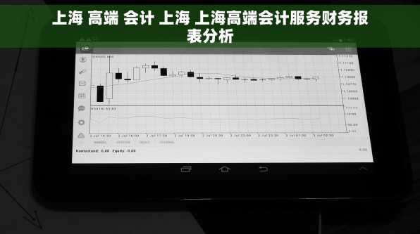 上海 高端 会计 上海 上海高端会计服务财务报表分析