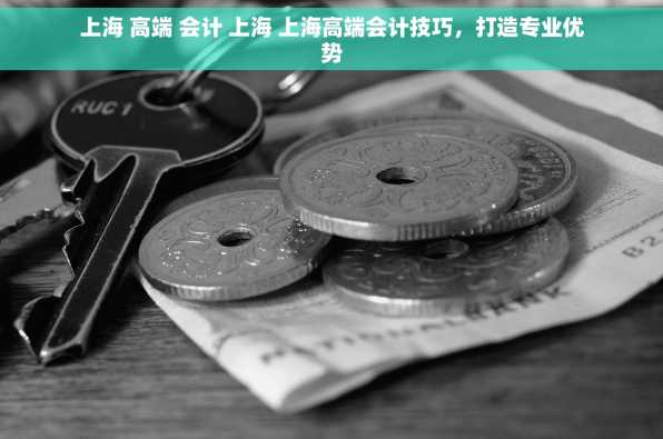 上海 高端 会计 上海 上海高端会计技巧，打造专业优势