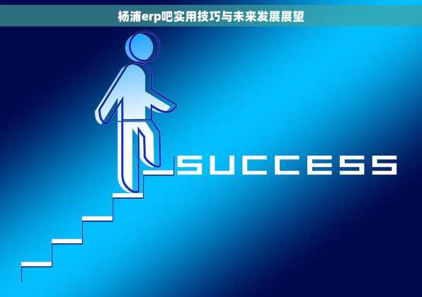 杨浦erp吧实用技巧与未来发展展望