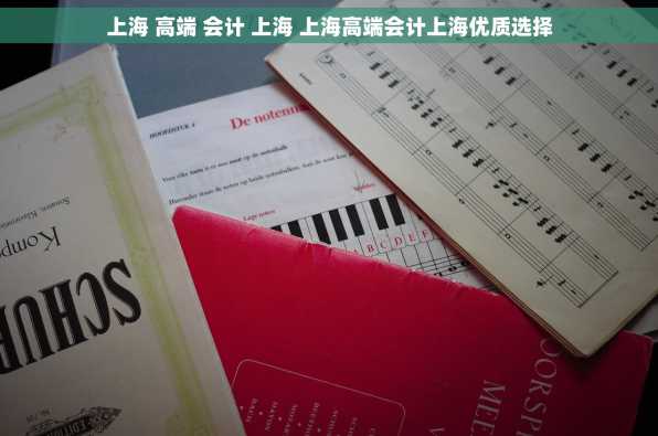 上海 高端 会计 上海 上海高端会计上海优质选择