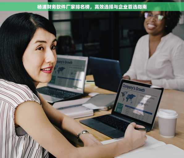 杨浦财务软件厂家排名榜，高效选择与企业首选指南