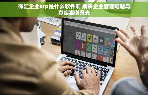 徐汇企业erp是什么软件啊 解决企业管理难题与真实案例曝光