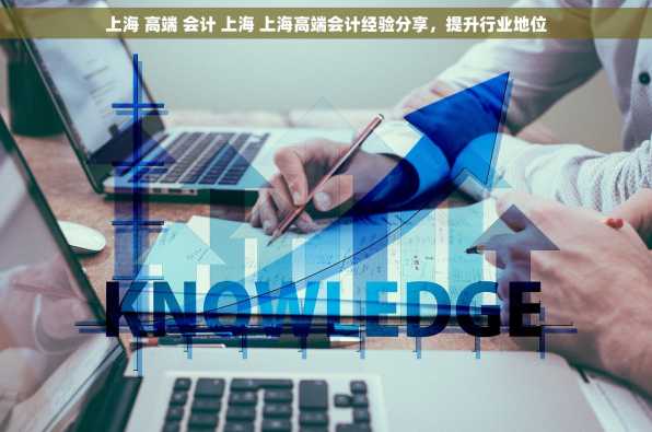 上海 高端 会计 上海 上海高端会计经验分享，提升行业地位