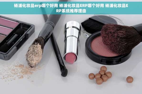 杨浦化妆品erp哪个好用 杨浦化妆品ERP哪个好用 杨浦化妆品ERP系统推荐理由