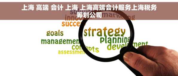 上海 高端 会计 上海 上海高端会计服务上海税务筹划公司
