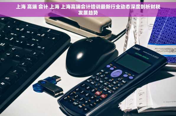 上海 高端 会计 上海 上海高端会计培训最新行业动态深度剖析财税发展趋势