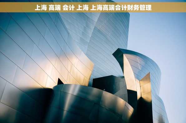 上海 高端 会计 上海 上海高端会计财务管理