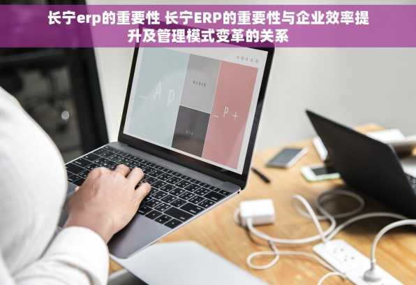 长宁erp的重要性 长宁ERP的重要性与企业效率提升及管理模式变革的关系