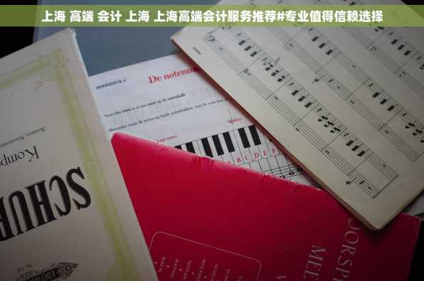 上海 高端 会计 上海 上海高端会计服务推荐#专业值得信赖选择