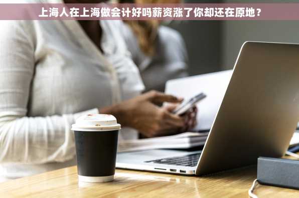 上海人在上海做会计好吗薪资涨了你却还在原地？