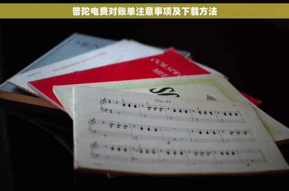 普陀电费对账单注意事项及下载方法