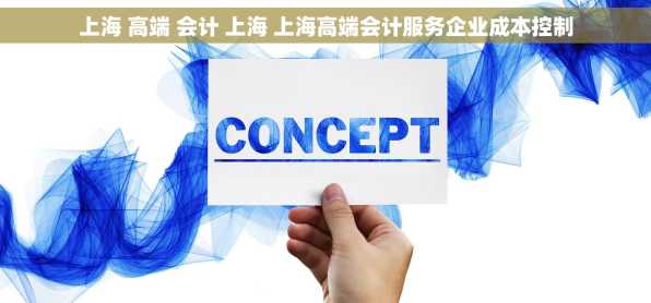 上海 高端 会计 上海 上海高端会计服务企业成本控制