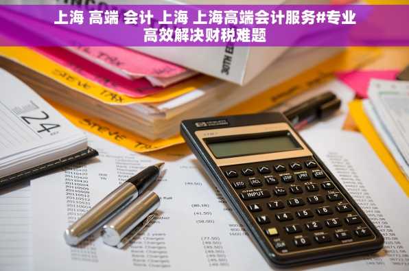 上海 高端 会计 上海 上海高端会计服务#专业高效解决财税难题