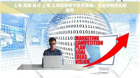 上海 高端 会计 上海 上海高端会计服务揭秘：企业财税优化新趋势