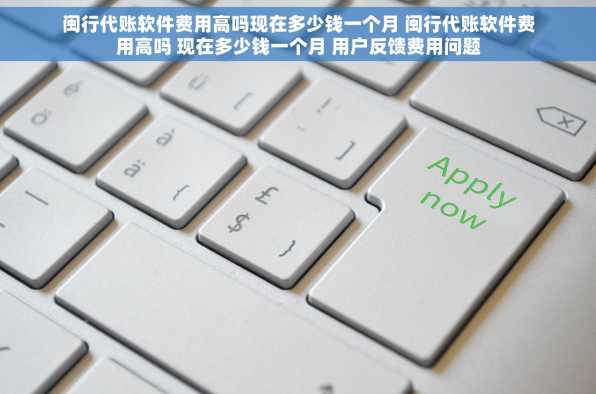 闽行代账软件费用高吗现在多少钱一个月 闽行代账软件费用高吗 现在多少钱一个月 用户反馈费用问题