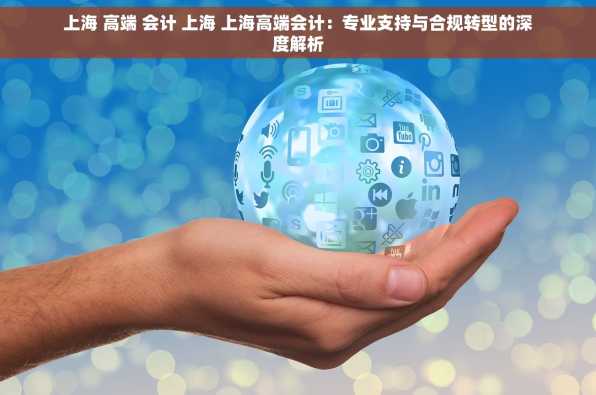 上海 高端 会计 上海 上海高端会计：专业支持与合规转型的深度解析