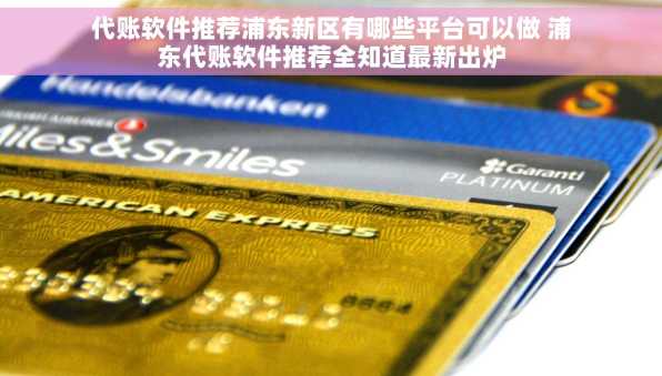 代账软件推荐浦东新区有哪些平台可以做 浦东代账软件推荐全知道最新出炉