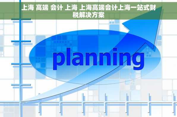 上海 高端 会计 上海 上海高端会计上海一站式财税解决方案