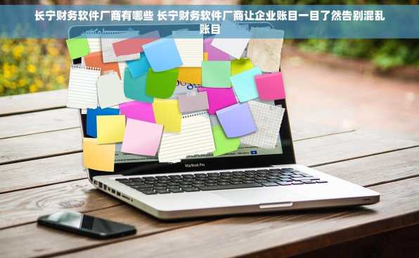 长宁财务软件厂商有哪些 长宁财务软件厂商让企业账目一目了然告别混乱账目