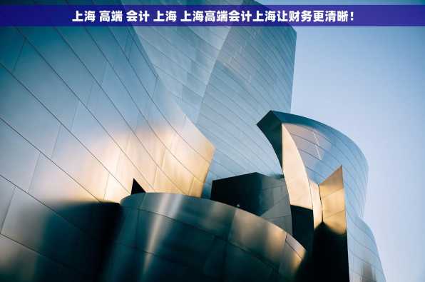 上海 高端 会计 上海 上海高端会计上海让财务更清晰！